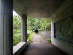 P20090805_142109_427