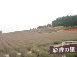 P20090806_070614_463