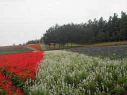 P20090806_070712_464