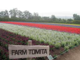 P20090806_073938_469