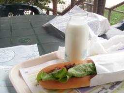 P20090806_081216_478