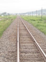 P20090806_083328_479