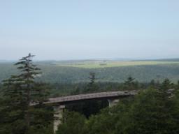 P20090806_125726_518