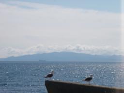 P20100907_114302_118