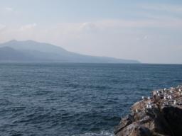 P20100907_141843_155