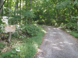 P20100908_091003_194