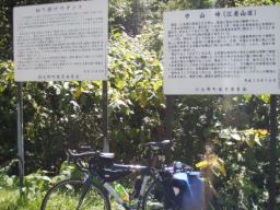 P20100908_130330_241