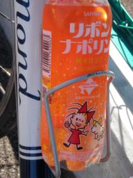 P20100908_134954_246