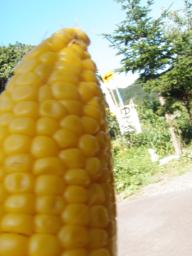 P20100908_141015_248