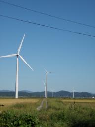 P20100908_145702_254