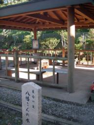 P20100908_151432_261