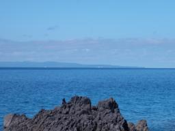 P20100909_091226_303