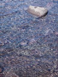 P20100909_091935_305