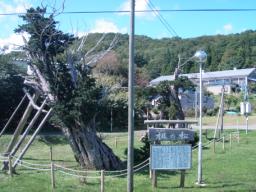 P20100909_103237_308