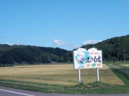 P20100909_103833_311