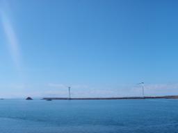 P20100909_111217_318