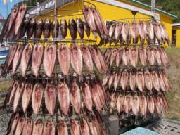 P20100909_130212_331