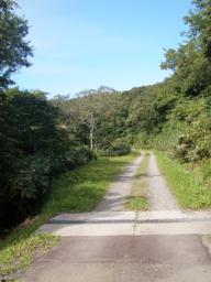 P20100909_142244_343