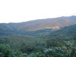 P20100909_174140_370