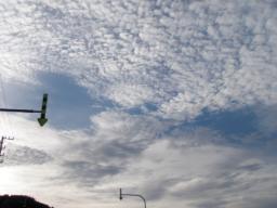 P20100910_063304_389