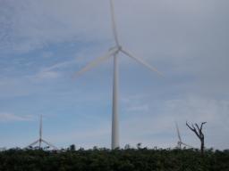 P20100910_071806_395