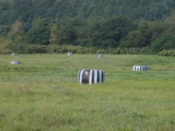 P20100910_074413_404