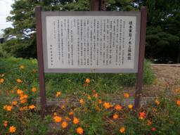 P20100910_132606_447