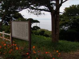 P20100910_132907_449