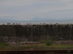 P20100910_145507_455