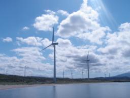 P20100909_111206_317