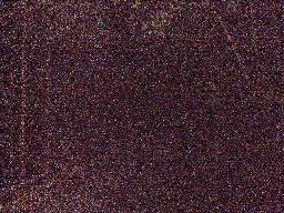 RIMG5521