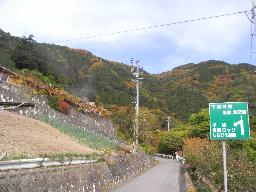 RIMG5547