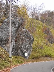 RIMG5584