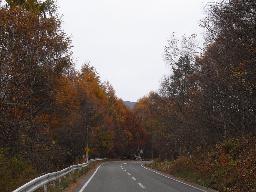 RIMG5769