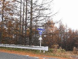 RIMG5773