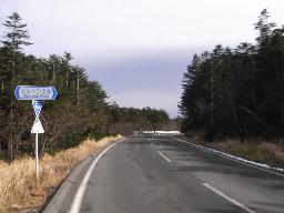 RIMG5774