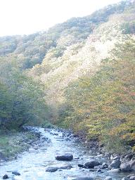 P20091011_152228_122