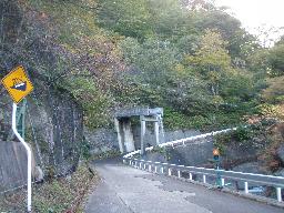 P20091011_153358_123