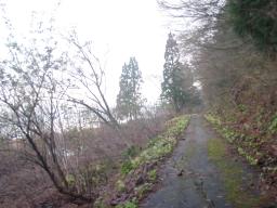 P20110503_062701_285