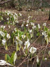 P20110503_102055_353