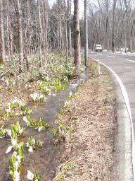 P20110503_102144_360