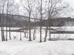 P20110503_141638_419