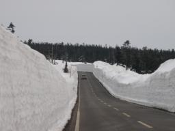 P20110503_152654_466