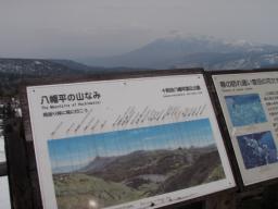 P20110503_155244_491