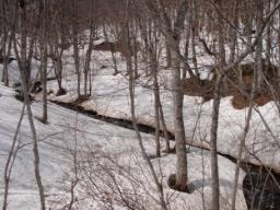 P20110504_094143_555