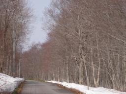 P20110504_094343_557