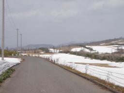 P20110504_100502_565