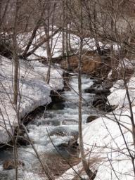 P20110504_101349_572