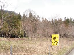 P20110504_103159_581