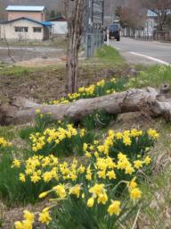 P20110504_104154_592